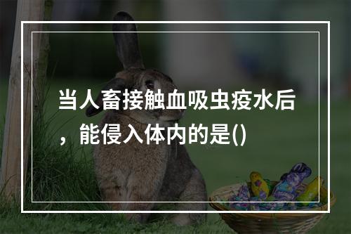 当人畜接触血吸虫疫水后，能侵入体内的是()