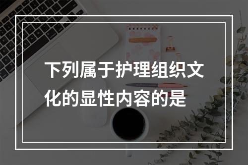 下列属于护理组织文化的显性内容的是