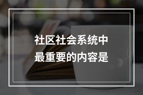 社区社会系统中最重要的内容是