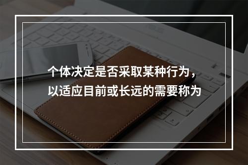 个体决定是否采取某种行为，以适应目前或长远的需要称为