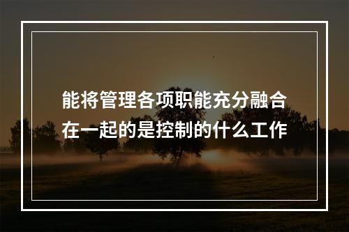 能将管理各项职能充分融合在一起的是控制的什么工作