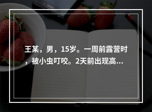 王某，男，15岁。一周前露营时，被小虫叮咬。2天前出现高热、