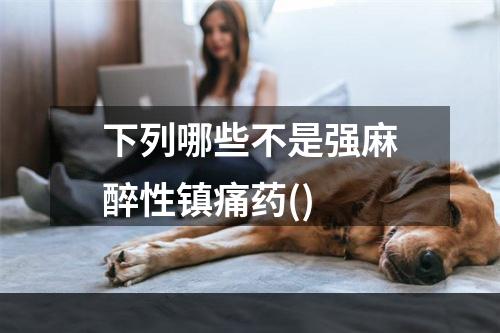 下列哪些不是强麻醉性镇痛药()