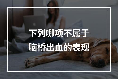 下列哪项不属于脑桥出血的表现