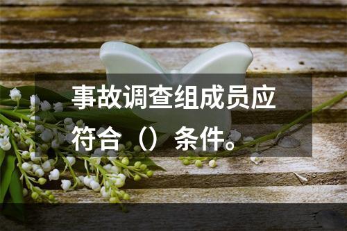 事故调查组成员应符合（）条件。