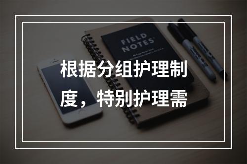 根据分组护理制度，特别护理需