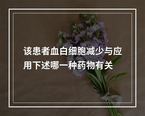 该患者血白细胞减少与应用下述哪一种药物有关