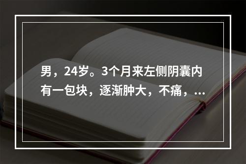 男，24岁。3个月来左侧阴囊内有一包块，逐渐肿大，不痛，不发