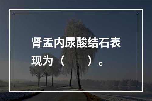 肾盂内尿酸结石表现为（　　）。