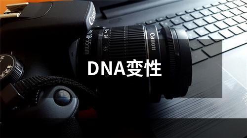 DNA变性