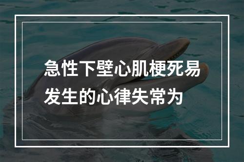 急性下壁心肌梗死易发生的心律失常为