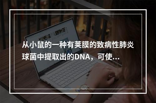 从小鼠的一种有荚膜的致病性肺炎球菌中提取出的DNA，可使另一