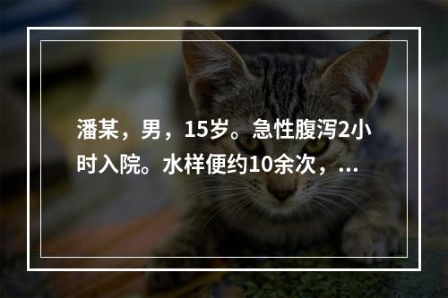 潘某，男，15岁。急性腹泻2小时入院。水样便约10余次，呕吐