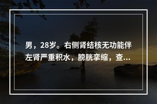 男，28岁。右侧肾结核无功能伴左肾严重积水，膀胱挛缩，查：血