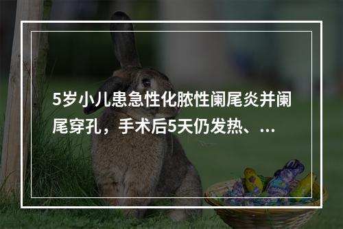 5岁小儿患急性化脓性阑尾炎并阑尾穿孔，手术后5天仍发热、腹痛