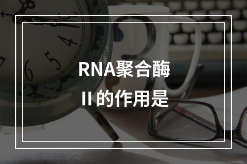 RNA聚合酶Ⅱ的作用是