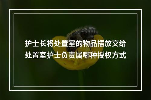 护士长将处置室的物品摆放交给处置室护士负责属哪种授权方式