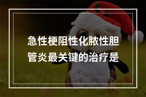 急性梗阻性化脓性胆管炎最关键的治疗是