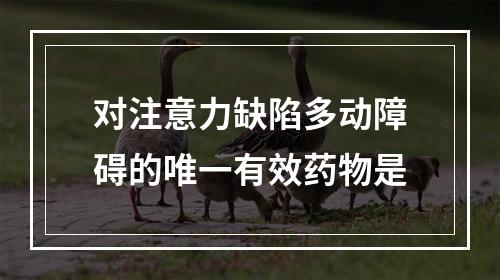 对注意力缺陷多动障碍的唯一有效药物是