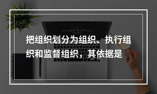 把组织划分为组织、执行组织和监督组织，其依据是