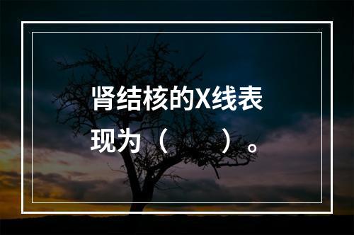 肾结核的X线表现为（　　）。