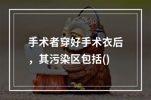 手术者穿好手术衣后，其污染区包括()