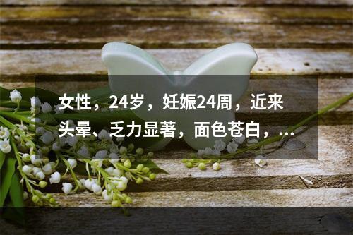 女性，24岁，妊娠24周，近来头晕、乏力显著，面色苍白，来院