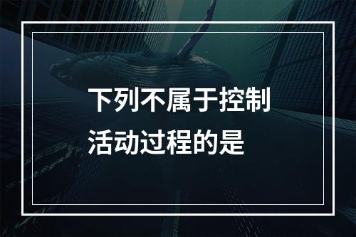 下列不属于控制活动过程的是