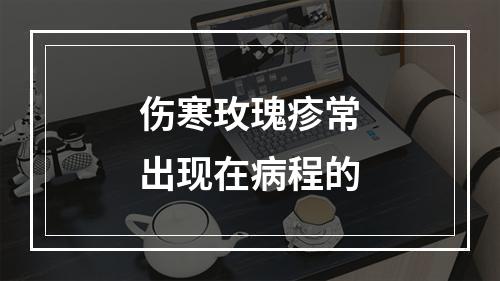 伤寒玫瑰疹常出现在病程的