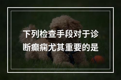 下列检查手段对于诊断癫痫尤其重要的是