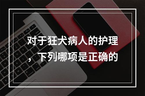 对于狂犬病人的护理，下列哪项是正确的