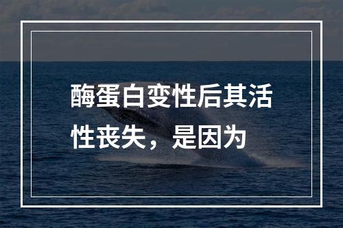 酶蛋白变性后其活性丧失，是因为