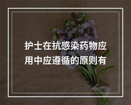 护士在抗感染药物应用中应遵循的原则有