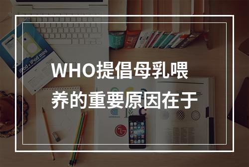 WHO提倡母乳喂养的重要原因在于