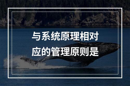 与系统原理相对应的管理原则是