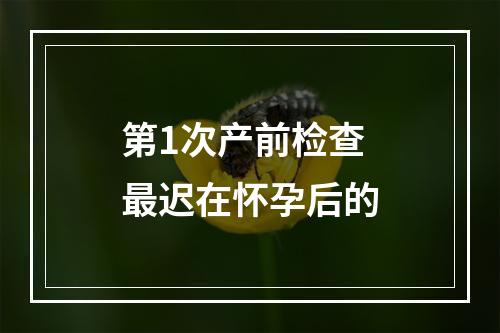 第1次产前检查最迟在怀孕后的