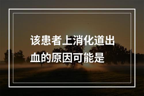 该患者上消化道出血的原因可能是