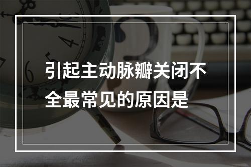 引起主动脉瓣关闭不全最常见的原因是