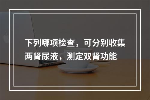 下列哪项检查，可分别收集两肾尿液，测定双肾功能