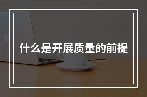 什么是开展质量的前提