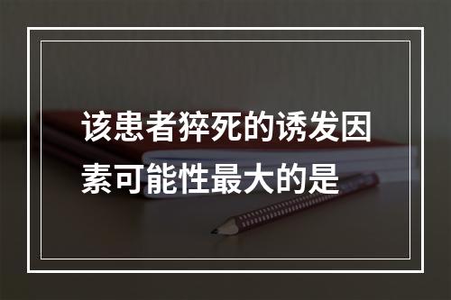 该患者猝死的诱发因素可能性最大的是