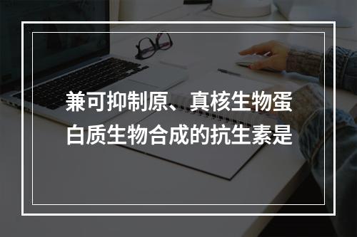 兼可抑制原、真核生物蛋白质生物合成的抗生素是