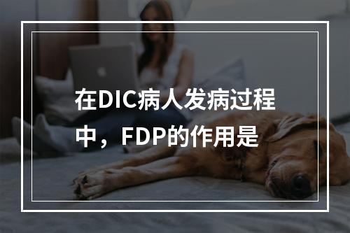 在DIC病人发病过程中，FDP的作用是