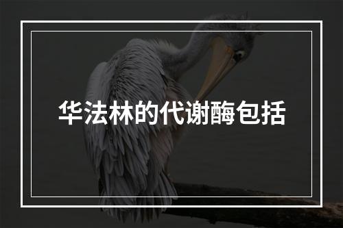 华法林的代谢酶包括