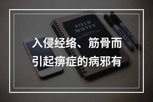 入侵经络、筋骨而引起痹症的病邪有