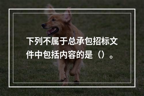 下列不属于总承包招标文件中包括内容的是（）。