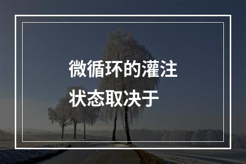 微循环的灌注状态取决于