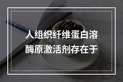 人组织纤维蛋白溶酶原激活剂存在于