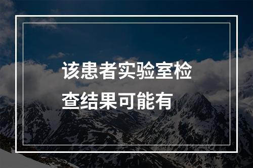 该患者实验室检查结果可能有