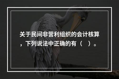 关于民间非营利组织的会计核算，下列说法中正确的有（　）。